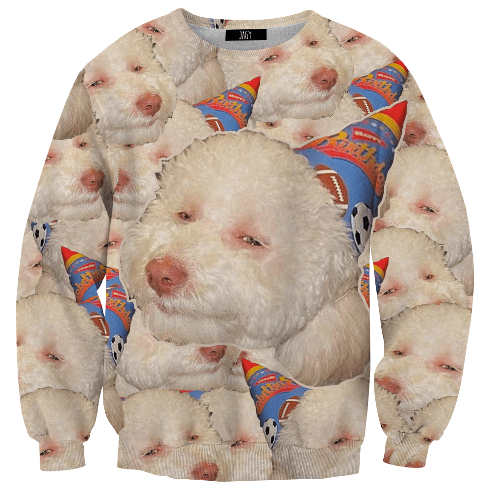 Sweater - Birthday Dog