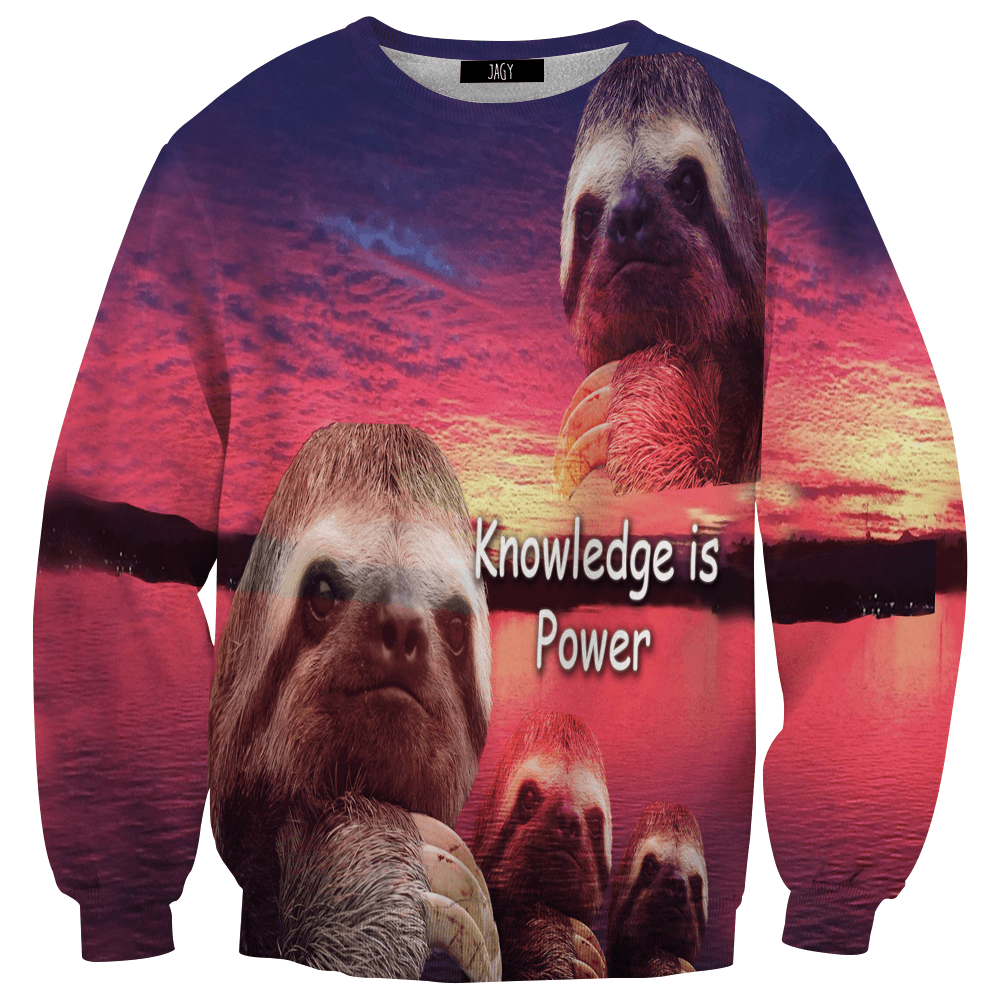 Sweater - Knowledge Is Power Sweatshirt